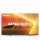 PHILIPS TV PHILIPS 55PML9008 55" MINILED 4K 120Hz Ambilight 3 Dolby Atmos - 1162620 - zdjęcie 2